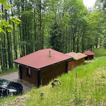Lesni - 