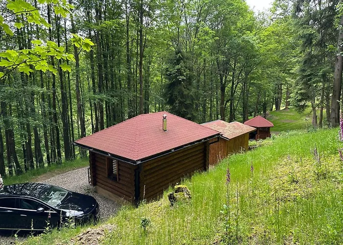 Lesni - 